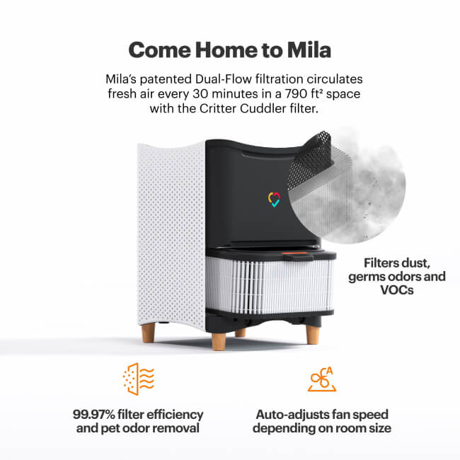 Mila Air Purifier